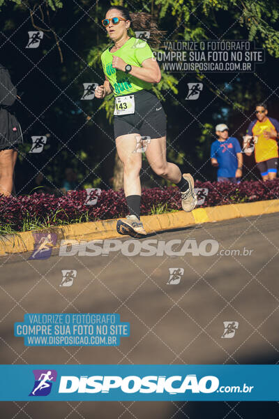 Vale Verde Run 2024