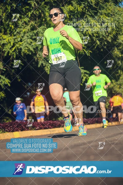 Vale Verde Run 2024