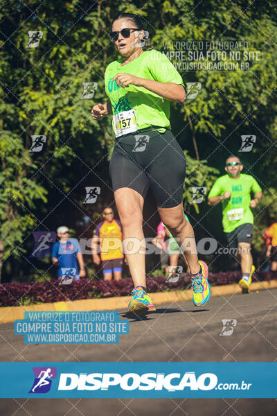 Vale Verde Run 2024