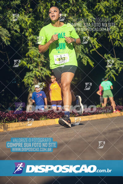 Vale Verde Run 2024