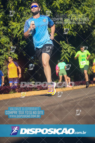 Vale Verde Run 2024