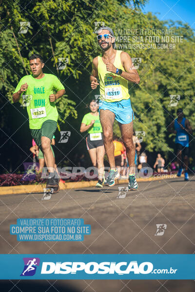 Vale Verde Run 2024