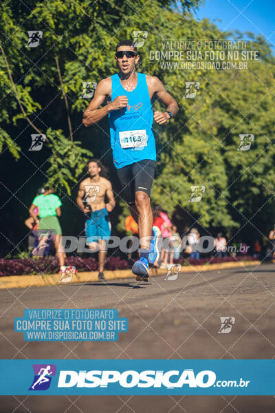 Vale Verde Run 2024