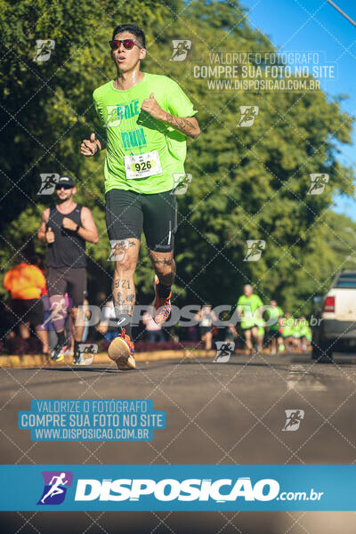 Vale Verde Run 2024