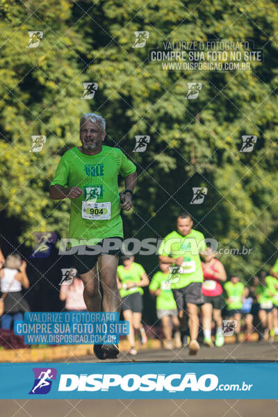 Vale Verde Run 2024