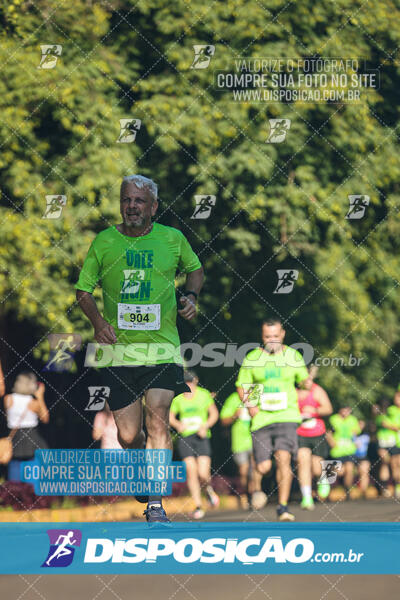 Vale Verde Run 2024