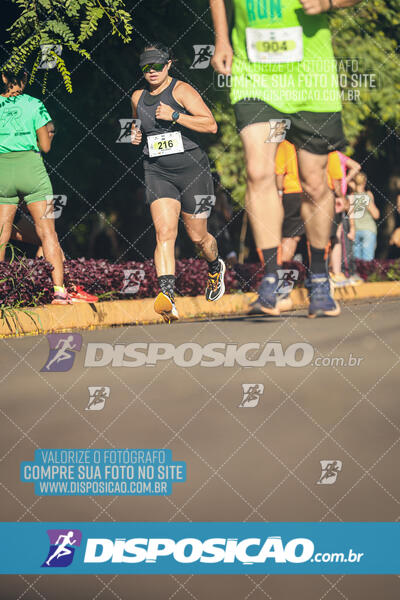 Vale Verde Run 2024