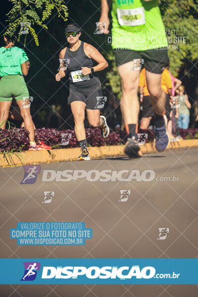 Vale Verde Run 2024