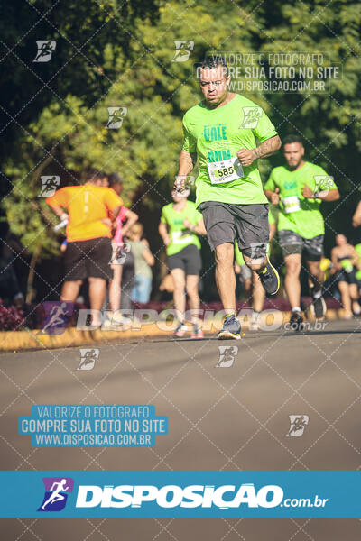 Vale Verde Run 2024