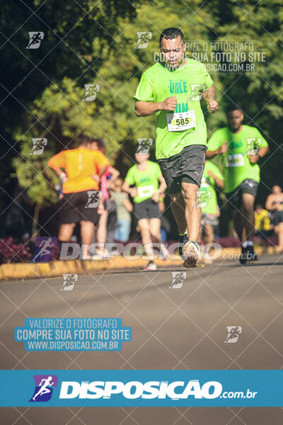 Vale Verde Run 2024