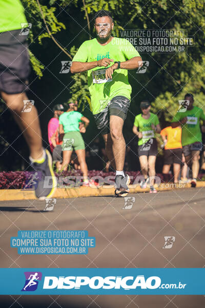 Vale Verde Run 2024