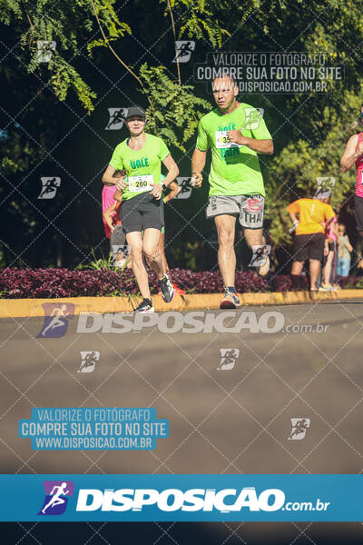 Vale Verde Run 2024