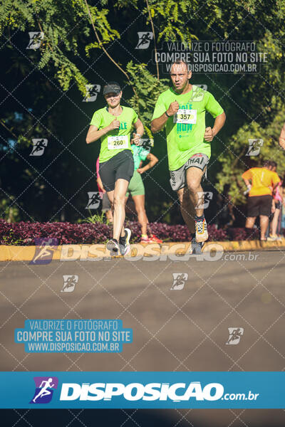 Vale Verde Run 2024