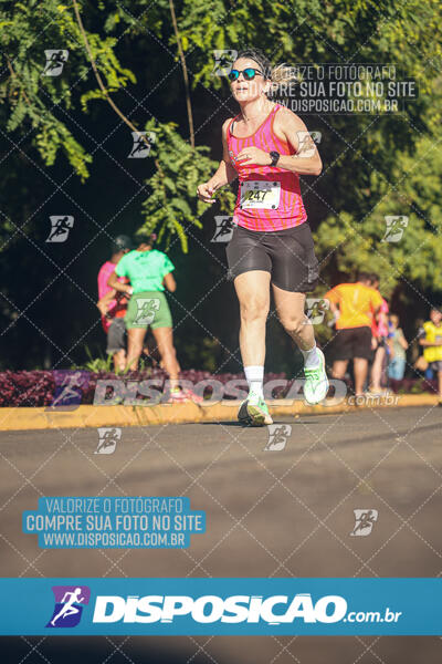 Vale Verde Run 2024