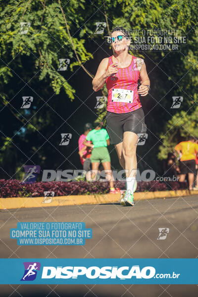 Vale Verde Run 2024