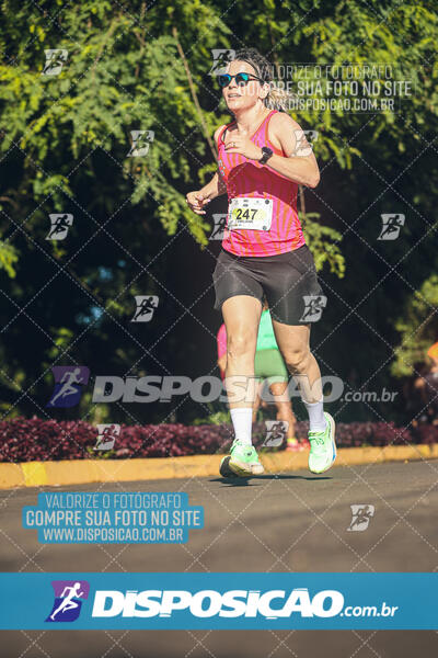 Vale Verde Run 2024