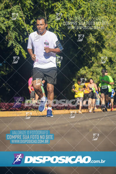 Vale Verde Run 2024