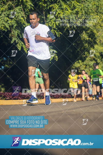 Vale Verde Run 2024