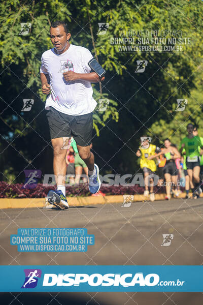 Vale Verde Run 2024