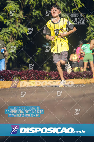 Vale Verde Run 2024