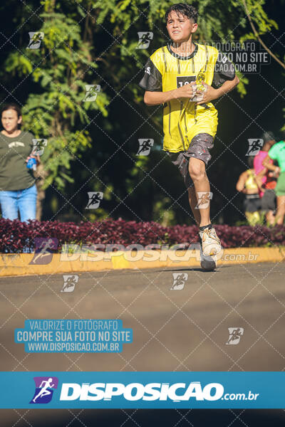 Vale Verde Run 2024