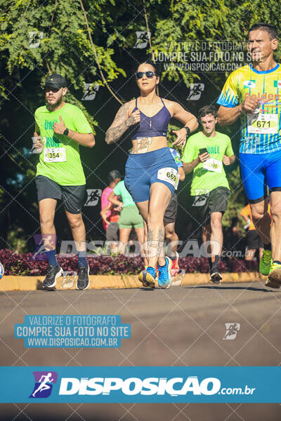 Vale Verde Run 2024