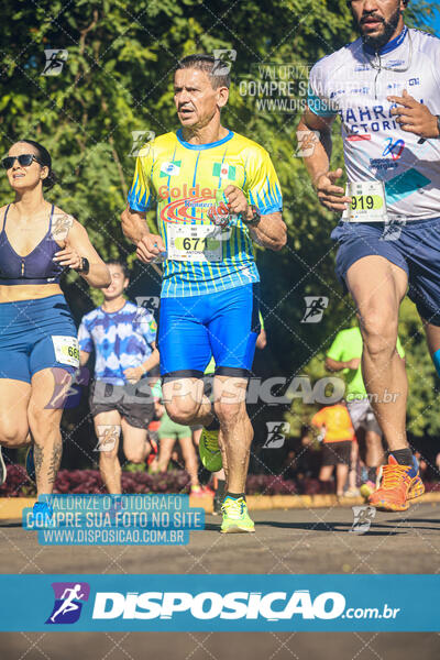 Vale Verde Run 2024