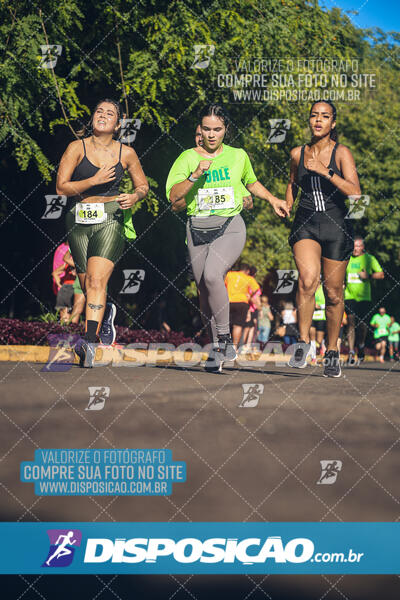 Vale Verde Run 2024