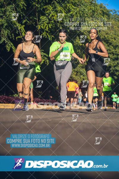 Vale Verde Run 2024