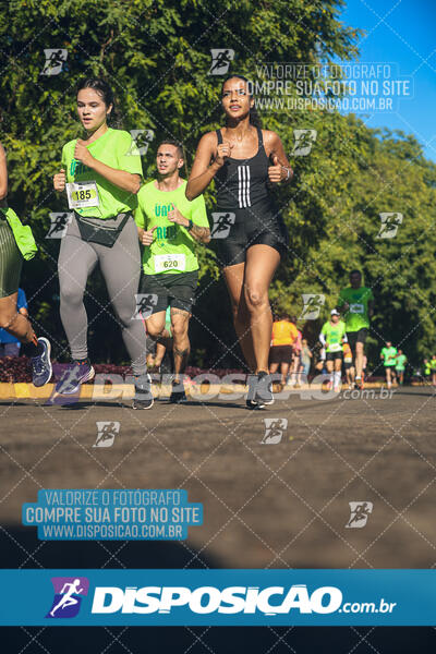 Vale Verde Run 2024