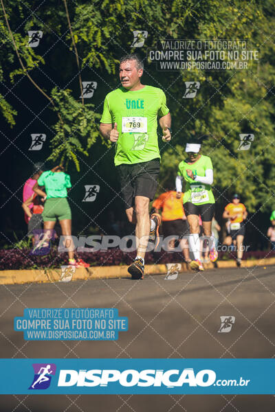 Vale Verde Run 2024