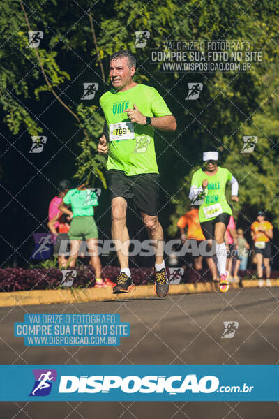 Vale Verde Run 2024