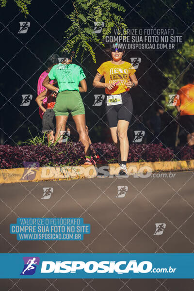 Vale Verde Run 2024