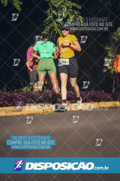 Vale Verde Run 2024