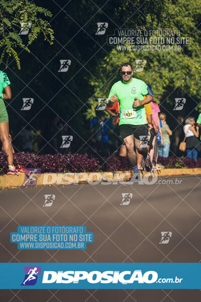 Vale Verde Run 2024