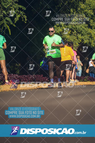 Vale Verde Run 2024