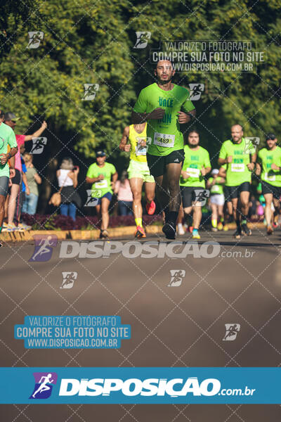 Vale Verde Run 2024