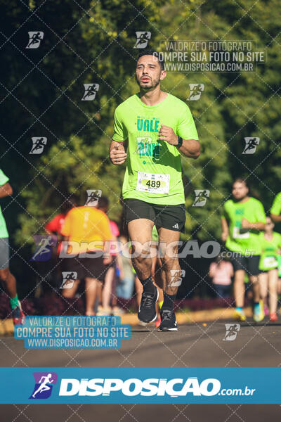 Vale Verde Run 2024