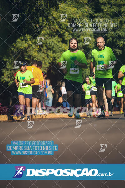 Vale Verde Run 2024