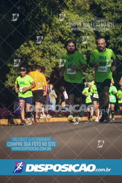 Vale Verde Run 2024