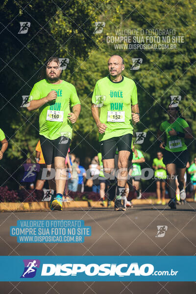 Vale Verde Run 2024