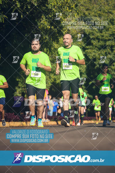 Vale Verde Run 2024