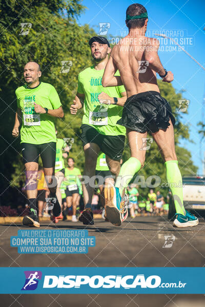 Vale Verde Run 2024