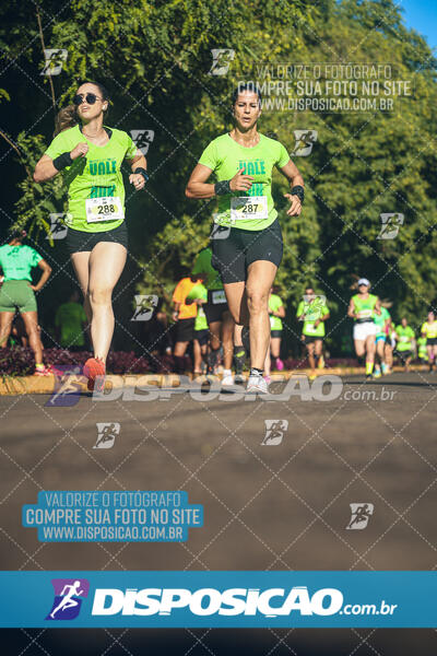 Vale Verde Run 2024