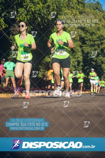 Vale Verde Run 2024