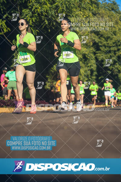 Vale Verde Run 2024