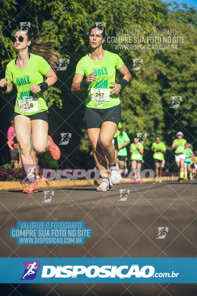 Vale Verde Run 2024