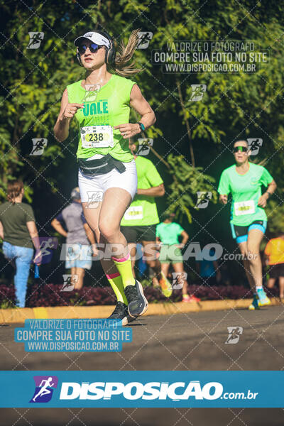 Vale Verde Run 2024