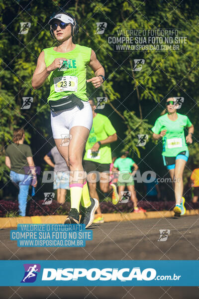 Vale Verde Run 2024