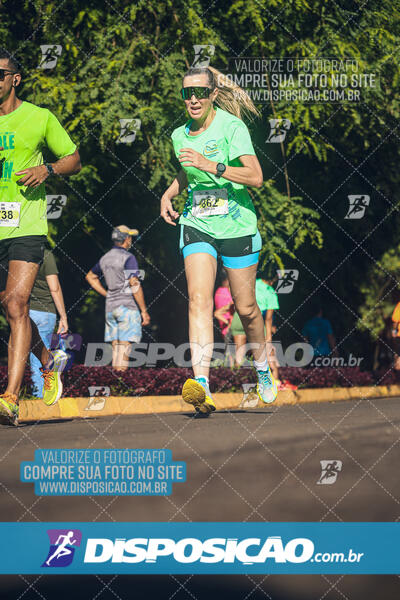 Vale Verde Run 2024